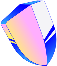 Authentication shield